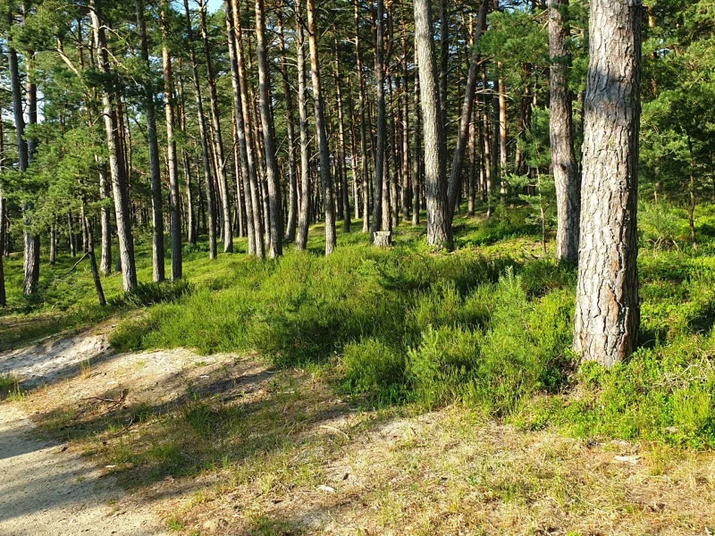 Okolica w obiektywie