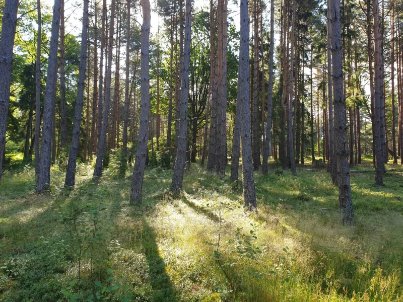 Okolica w obiektywie