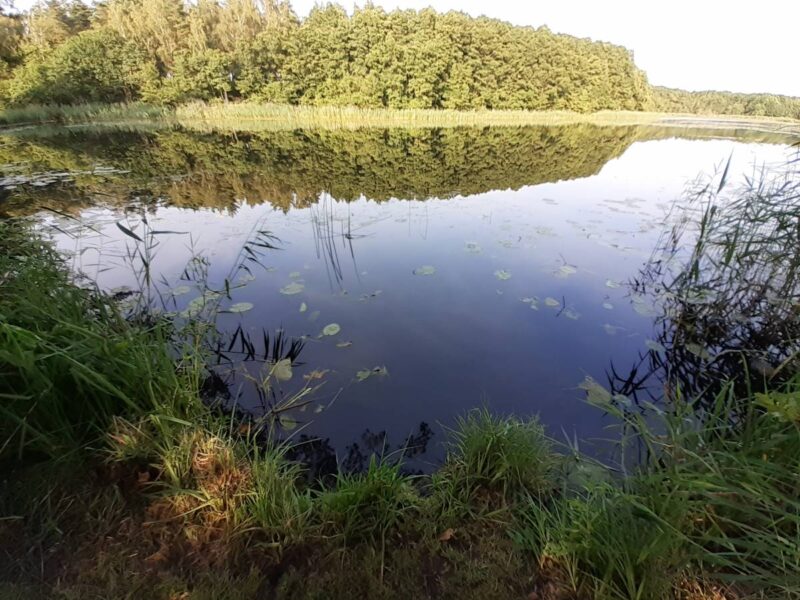 Jezioro Kopalińskie